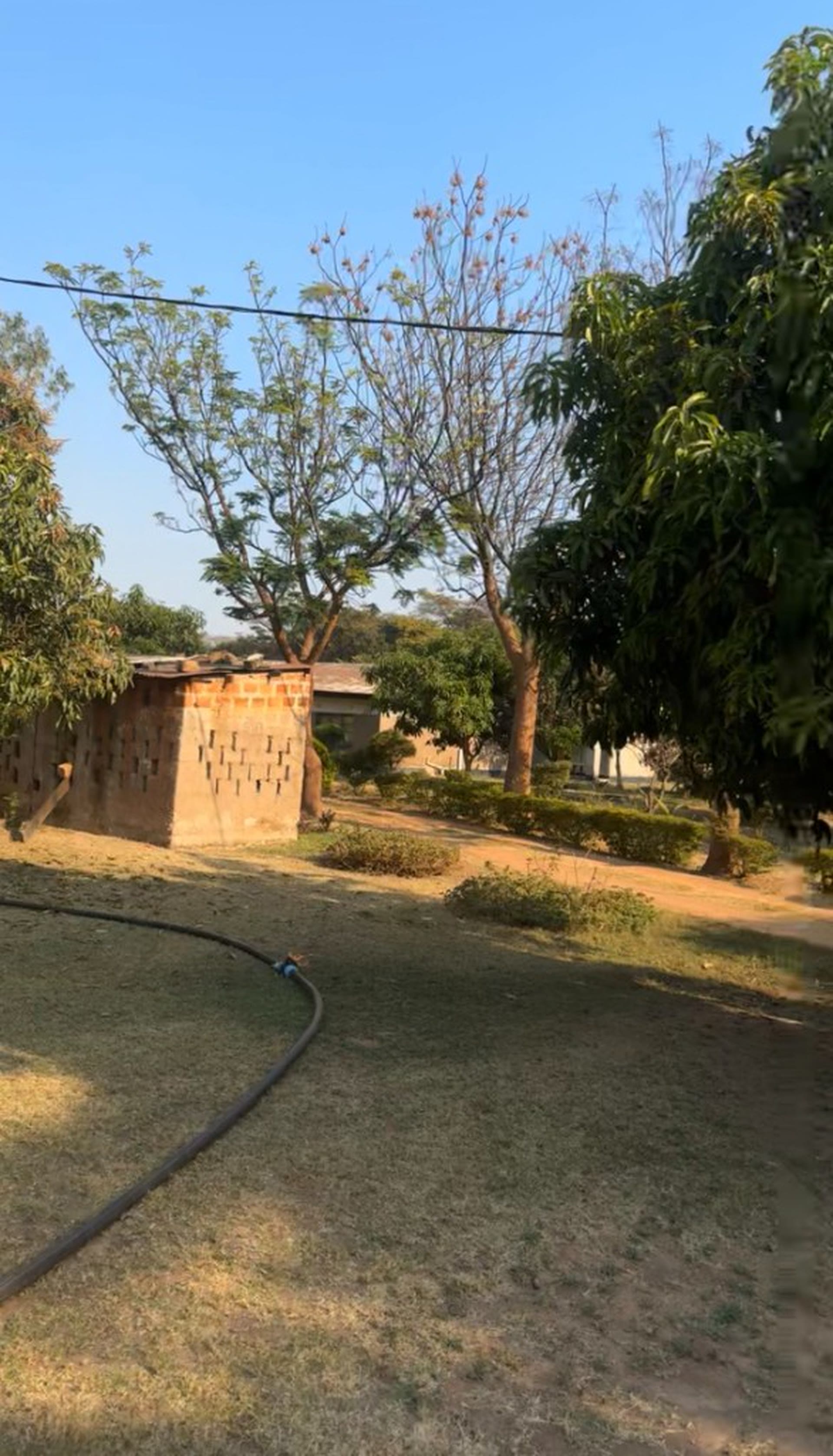 The grounds of Golden Emerald Guest House
